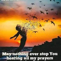 FB_IMG_1696014680069